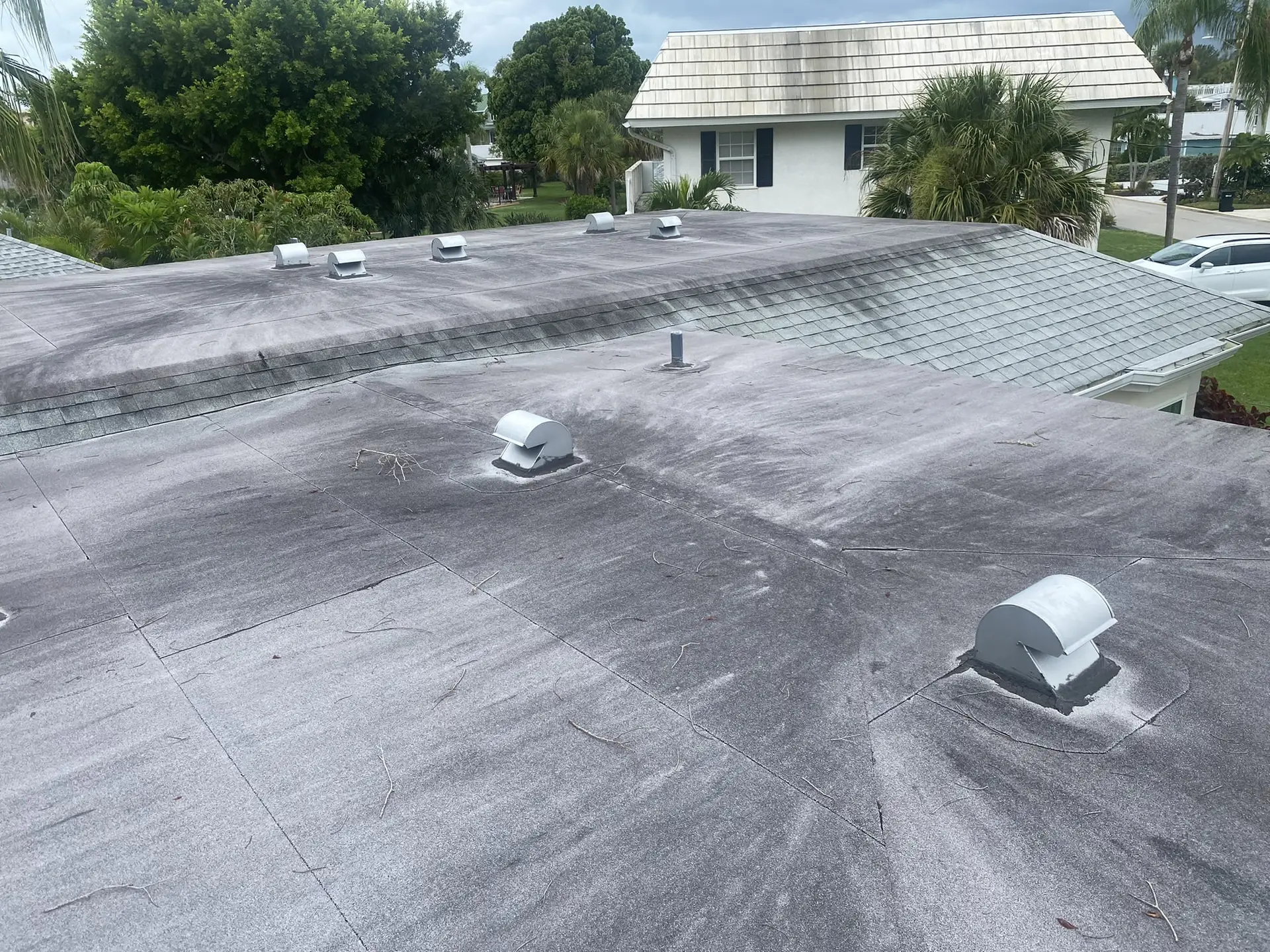 Shingle Roof Cleaning in Venice FL by A-1 Pressure Washing & Roof Cleaning