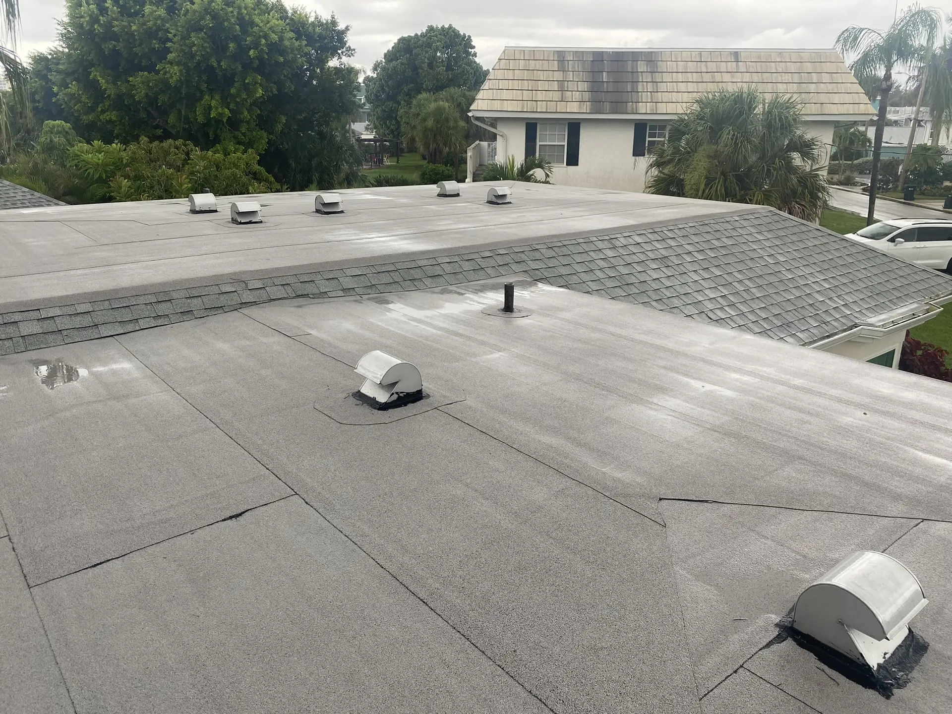 Shingle Roof Cleaning in Venice FL by A-1 Pressure Washing & Roof Cleaning