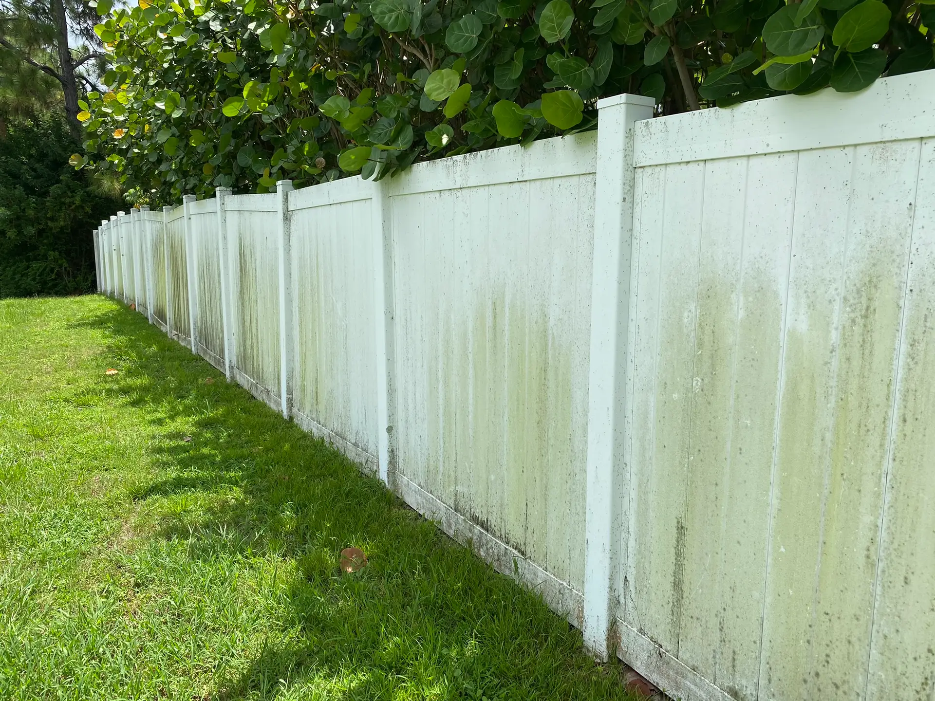 fence cleaning