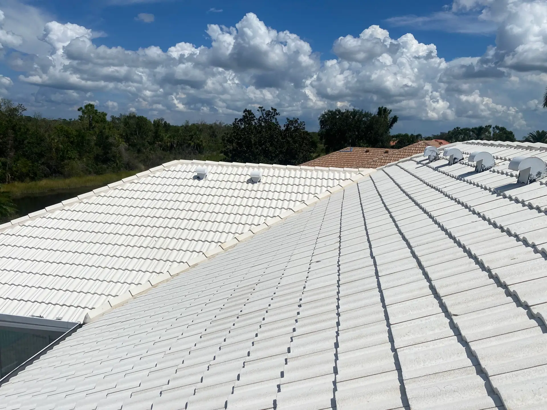 white tile roof cleaning venice fl