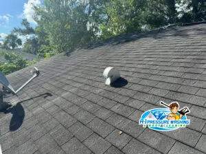 Gloeocapsa magama, black streaks on shingle roof in North Port